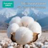 PurCotton Women's Disposable Underwear