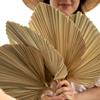 Home Party Boho Tropical Trimmed Bohemian Leaves Palm Spears Fan Leaf Dried Plant