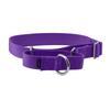 Cani – Collari e guinzagli per cani