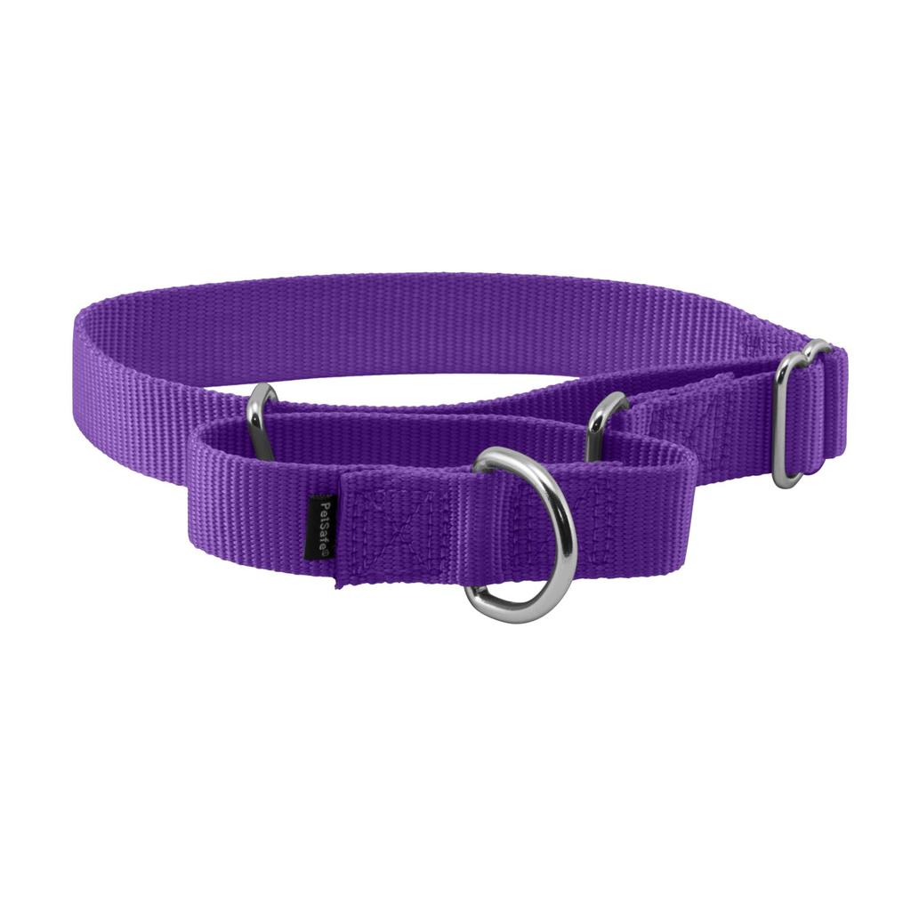 Premier Color Half for Medium To Large Deep Purple Chalk, Medium, 2.5cm Wide, Dogs, [Used]