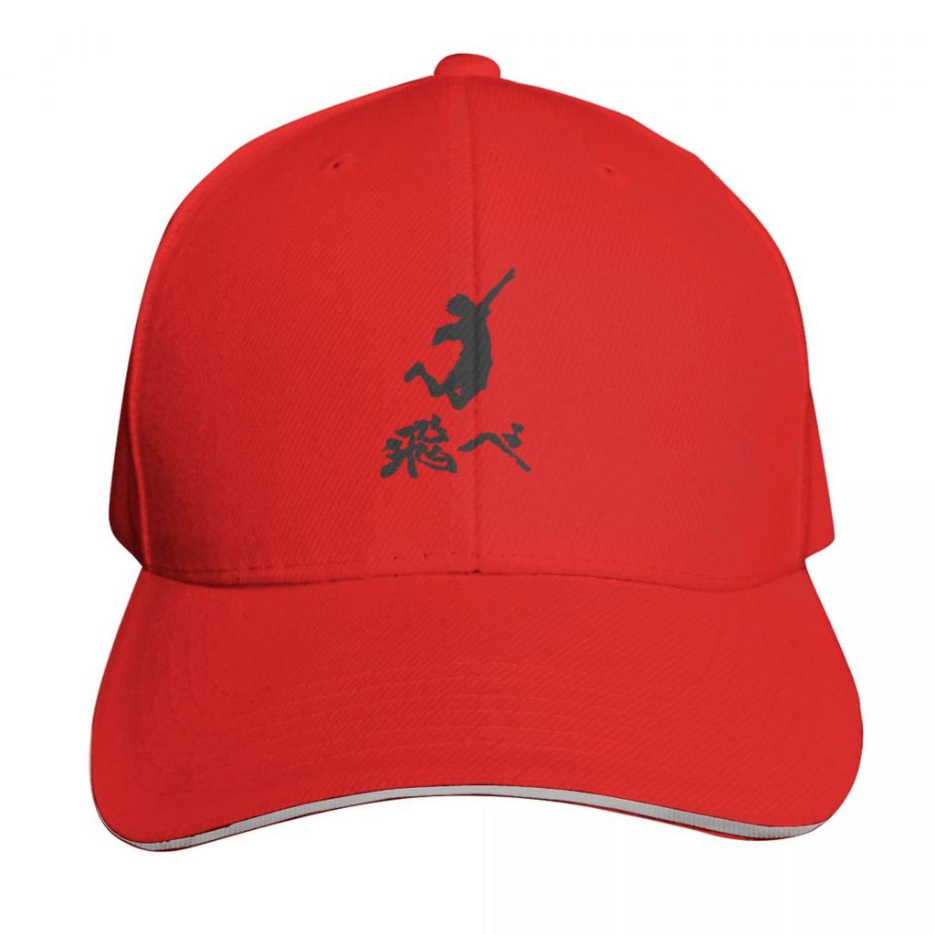 Hinata Fly Black Baseball Cap Funny Hats Hat Unisex Hat Baseball Cap Luxury Cap Hats For Unisex Womens