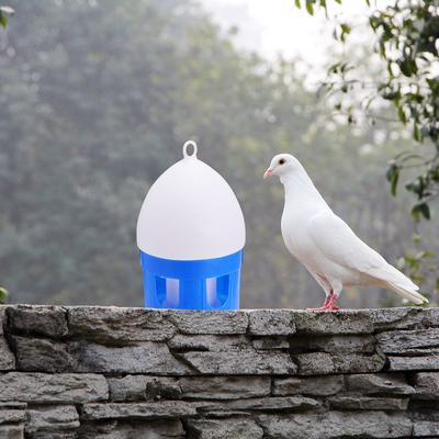 Kuş – Besleme ve Sulama Malzemeleri