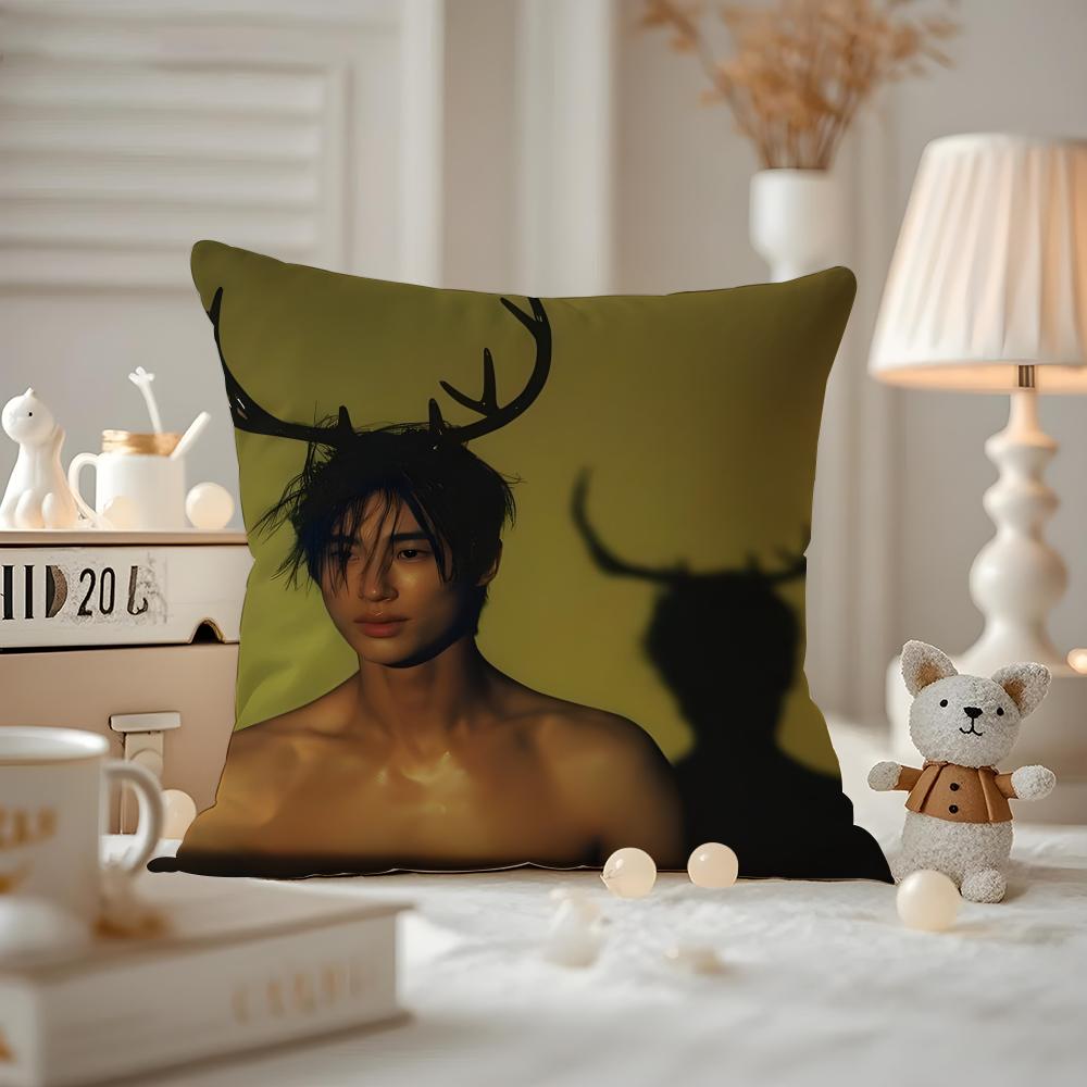 Byeon Wooseok Kissenbezug Musterbedruckter Kissenbezug Für Wohnzimmer Sofakissenbezug & Schlafzimmerdekoration