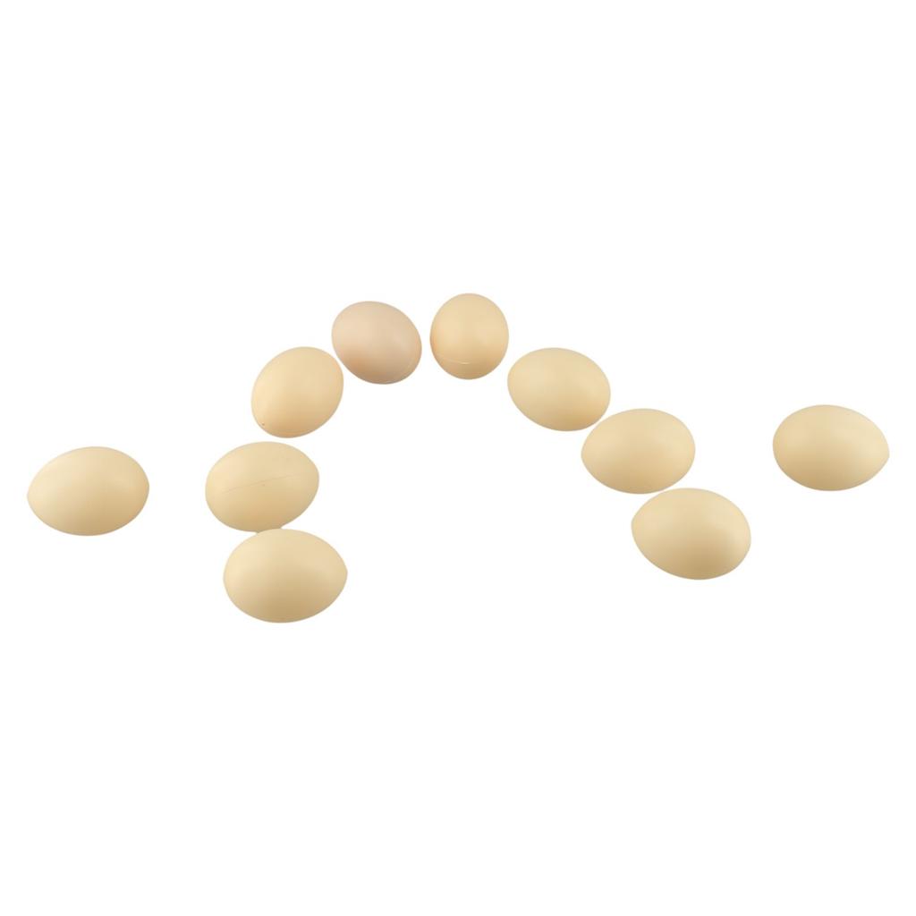 DIY Easter Eggs Fake Chicken Eggs Poultry Education DIY Easter Projects Smooth Edges Educational Purposes High Quality Plastic