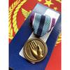 Förenta staterna tilldelade USGI Humanitarian Medal (HSM).