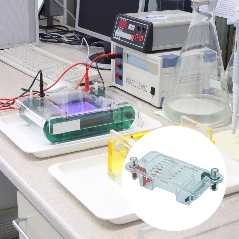 Portable Gel Electrophoresis Tank With Sample Preparation Tool Biology Lab Equipment for Science Classroom Education