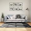 VidaXL Shaggy Rug with Long Pile, Floor Carpet, Area Rug, Living Room Rug, Modern, Black and Cream 375412