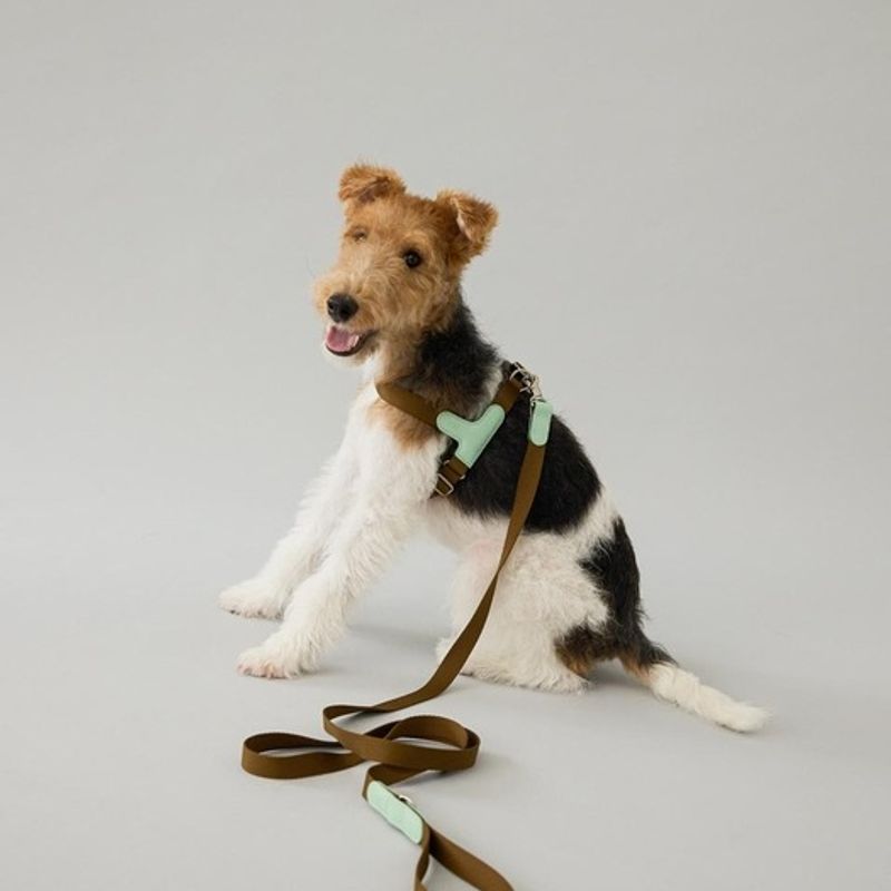 GOPE GOPE Picture Dog Harness MIBR