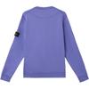 STONE ISLAND Einfarbig Pullover Langarm Rundhalsausschnitt Sweatshirt Herren sweatshirt Lila K1S1561000-44S0051-V0047