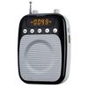 SHIDU SD-S358 Portable Voice Amplifier CN plug (adapter included)