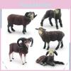 Realistische Bauernhof Schwarzes Schaf Ziege Lamm PVC Schaf Lamm Figuren Für Kinder Kinderzimmer Spiel Und Lernen