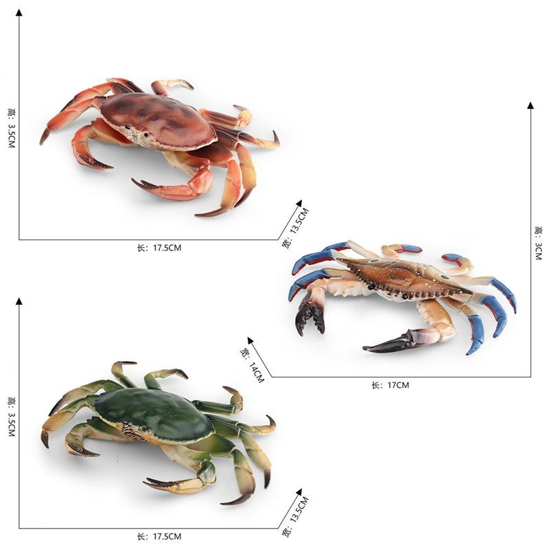 Simulated Marine Animal Crab Model, Children'S Cognition Three-Eye Crab Swimming Crab Bread Crab Ornament Toy