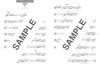 Flute with pitch name repertoire that adult beginners would like to play 2 karaoke (kana) J-POP (includes CDs)