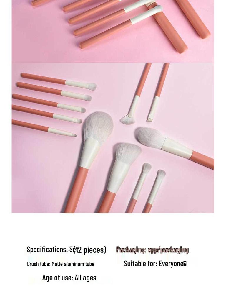 Holiday 12-Piece Makeup Brush Set: Powder, Eyeshadow, Foundation & Concealer Brushes with Soft Bristles
