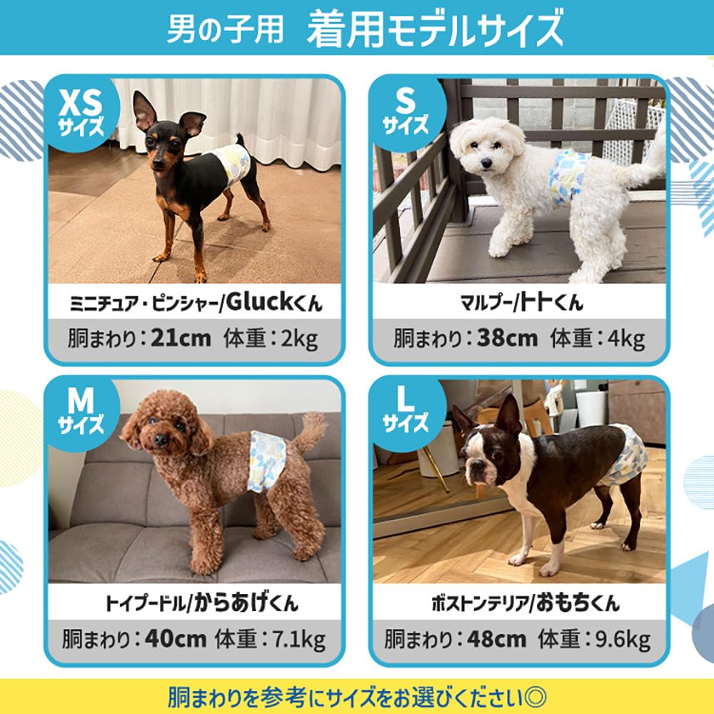 Iris Ohyama PitaFit Pet Size 72 for male Diapers, S, diapers, dogs, long-lasting wear, MNPD-S72