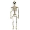 Halloween Full Body Posable Hanging Skeleton Realistic 16/24in Plastic Faux Skeleton Ornament Spooky Indoor Outdoor Party Favors