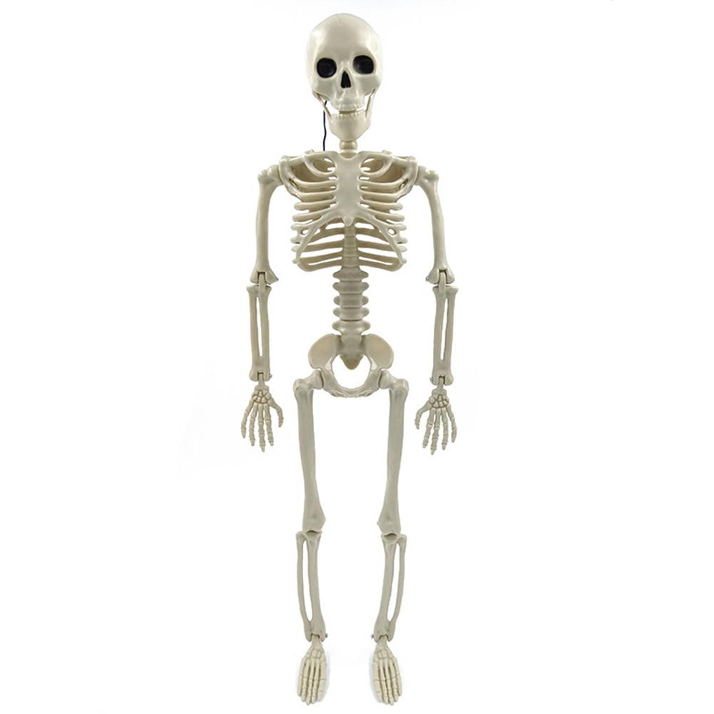 Halloween Full Body Posable Hanging Skeleton Realistic 16/24in Plastic Faux Skeleton Ornament Spooky Indoor Outdoor Party Favors