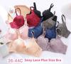 Ultra-Thin Lace Bra: Sexy, Large-Size, No Sponge, Gathered Fit