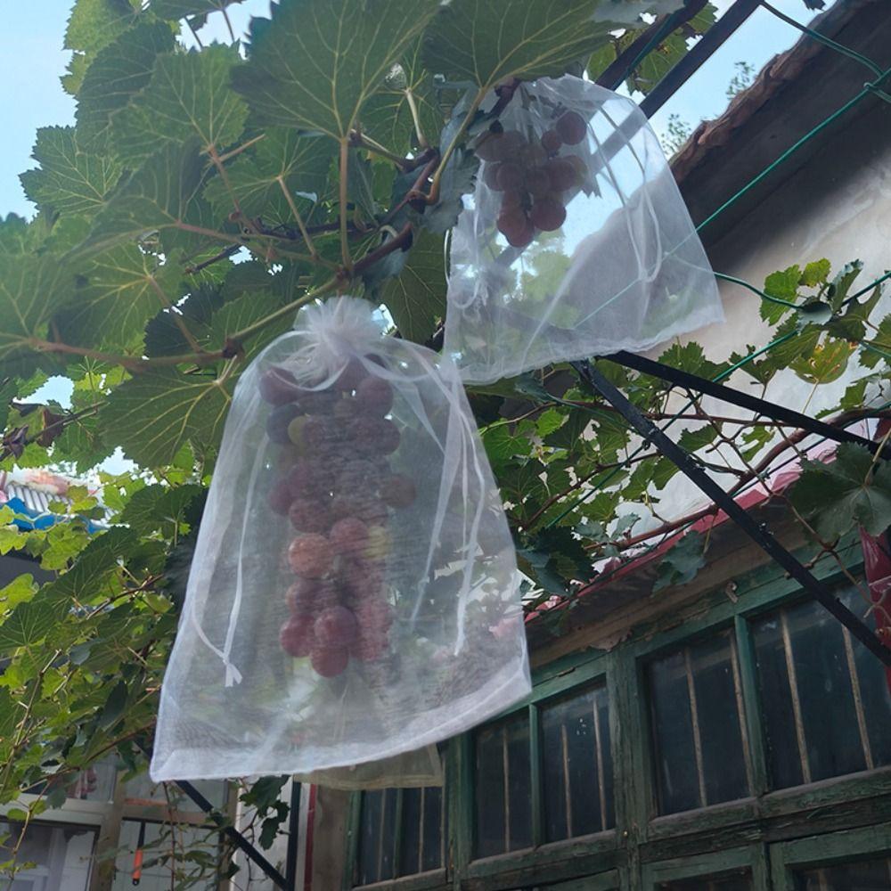 100pcs White Grapes Fruit Grow Bags Breathable Grape Protection Cover Garden Tools