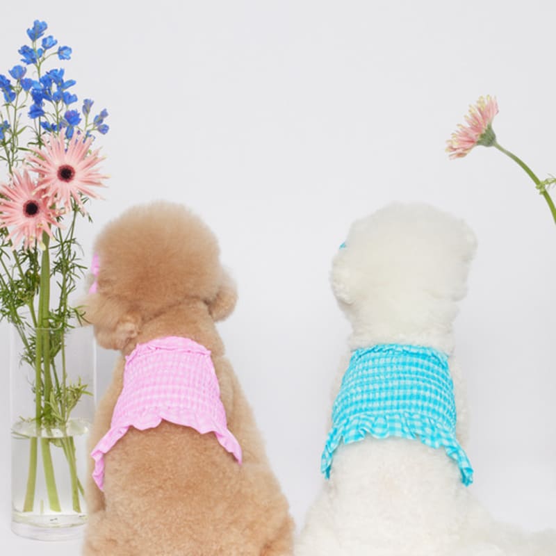 SALTYHEARTY Hello Crop Blouse New Check PINK