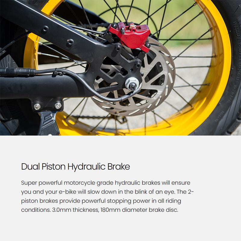 Coswheel GT20 PRO electric bike dual motor 3000W off-road electric motorbike 48V 40AH dual battery MTB large tyre Ebike