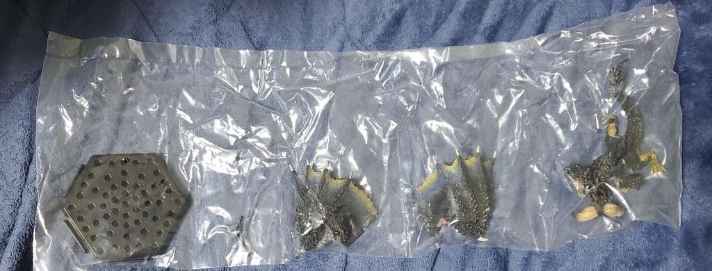 [USED] Monster Hunter Monster Hunter Figure Nergigante 1 ()