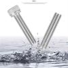 304 Stainless Steel Hex Socket Head Cap Screws