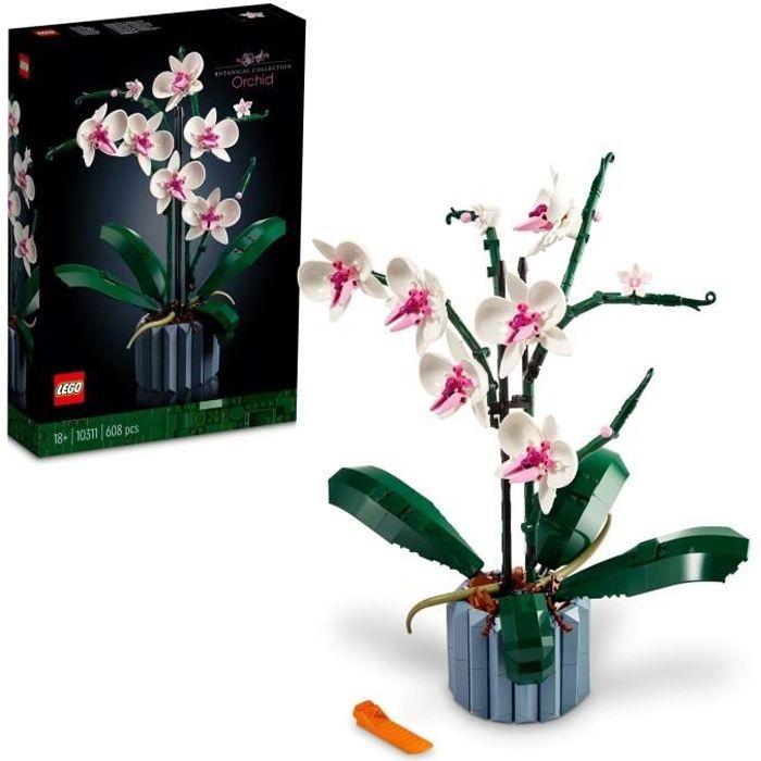 LEGO Icons 10311 L'Orchidée Plantes de Fleurs Artificielles d'Intérieur - Décoration de Maison - Botanicals
