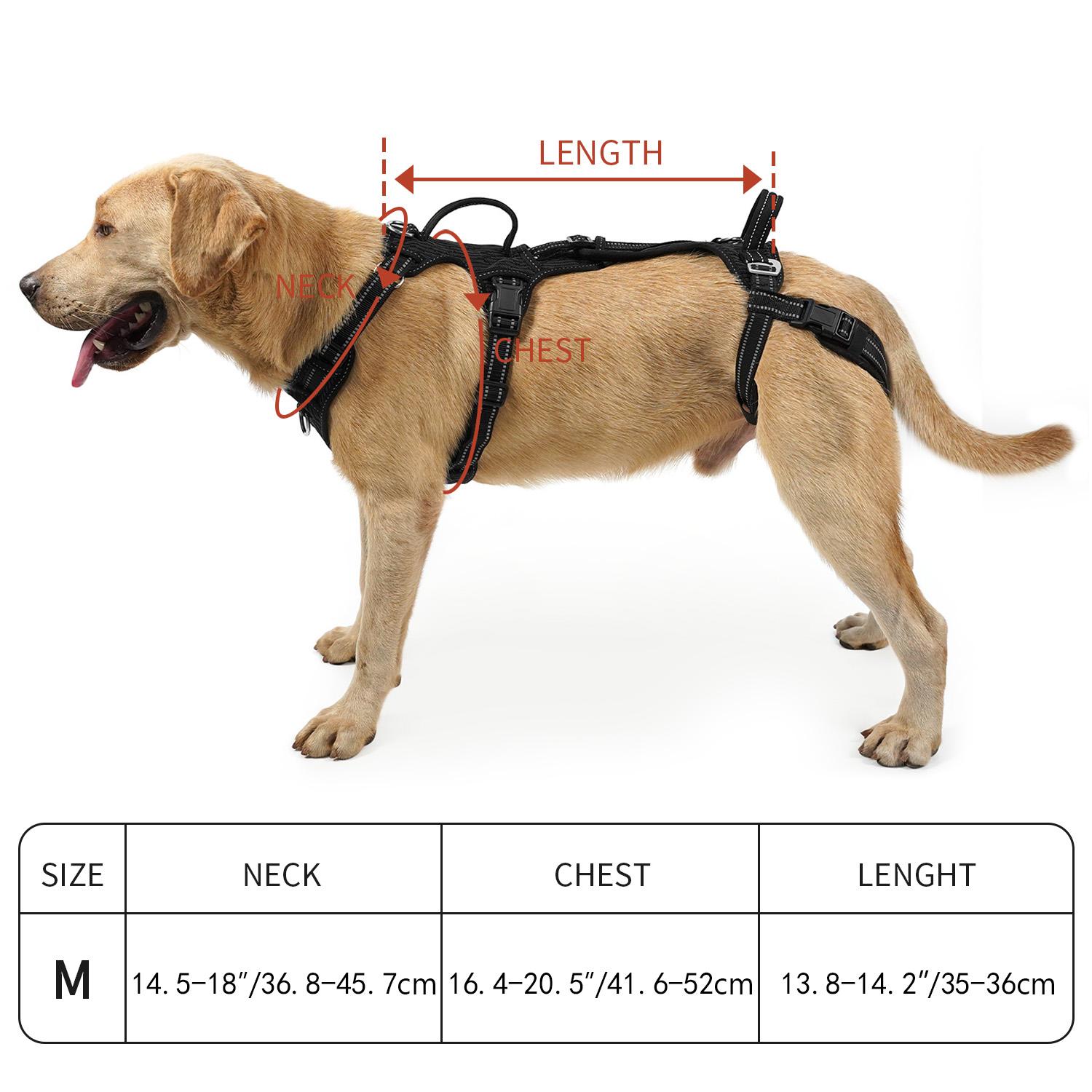 COODEO Mobility Dog Lift Harness, Support