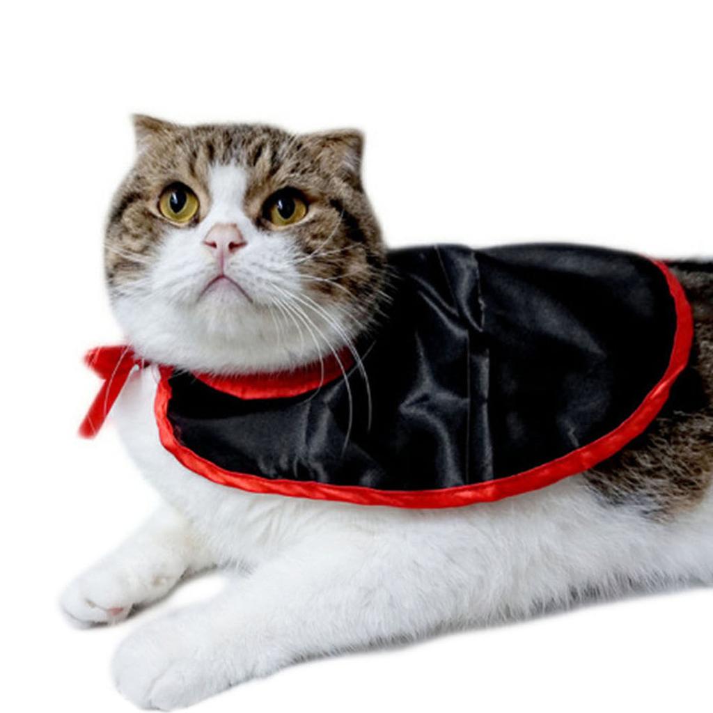Cute Witch Hat Vampire Costume for Dogs Pet Holiday Accessories Photo Props Suitable Cats and Dogs