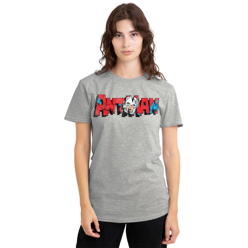 Ant-Man and the Wasp: Quantumania Womens/Ladies Retro Frame Logo Heather T-Shirt