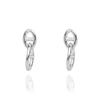 Anchor Chain Earrings [Anchor Chain Earrings _ Silver]