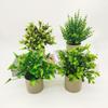 Creative Green Leaves Artificial Grass Bonsai Photo Props with Flowerpot Potted Plant Ornament Faux Flowerpotted Gift