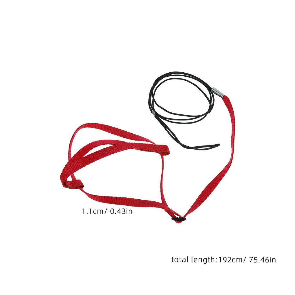 Bird Flight Harness Adjustable Parrot for and Leash Training Parakeets Conure Birds 1
