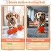 Popular Interactive Dog Toy Ball with Random Movement Bouncing & Rotating Functions Rechargeable Made of TPU Material