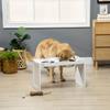 Feeding station, bowl stand, 2 feeding bowls of 2 liters each, stainless steel, for large dogs, white, 63 x 30 x 24cm