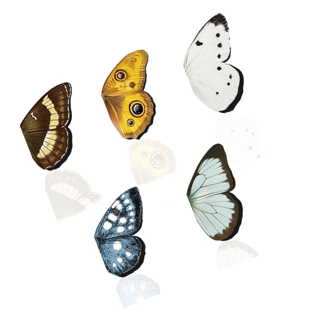 5Pcs Cartoon Magnetic Bookmarks Butterfly Magnetic Bookmarks Book Page Holder Clip For Book Lover Student Children Adult