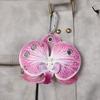 Keyring Phalaenopsis Orchid Keychain Keychains Bag Pendant Imitation Flower Pendant  Couple Kids