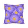 Pastel Daisy Floral Pattern Pillow Case Graphic Pillow Cover For Sofa Couch Bed Living Room Novelty Pillowcases