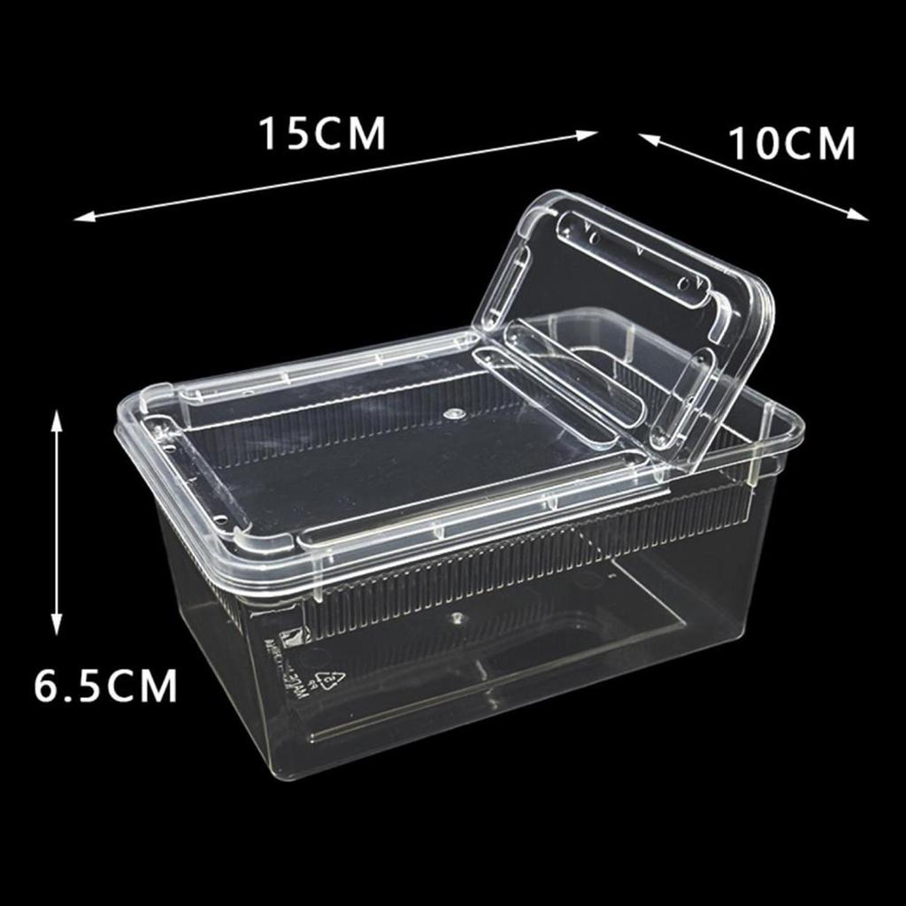 Feeding And Breeding Box for Reptiles with Lid Ventilation Holes, Mini, Transparent, Horned