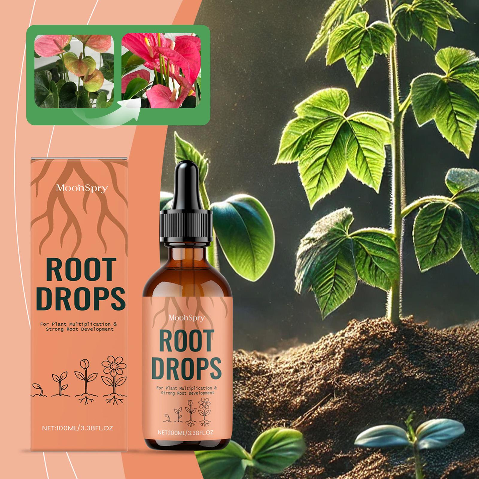 

Plant Rooting Hormone Drops Seedlings Propagations Repotting Potted Plants Root Growth Boosters For Post-Repotting Recovery Aid China Mainland