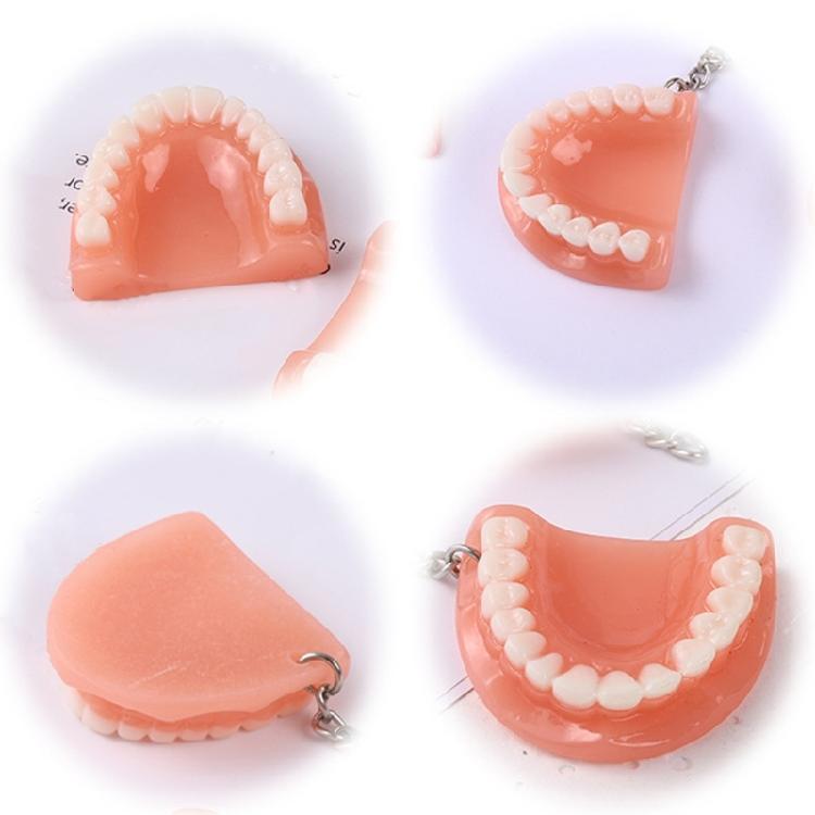 Mini Tooth Model Shape Keychain Bag Ornament Backpack Charm Pendant Car Keychain