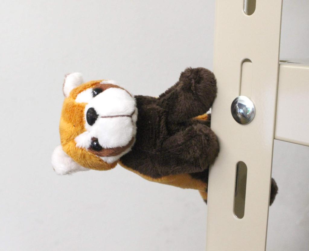 Safari Magnet Red Panda