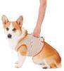 Petio Senior Dog Care Vest with Support for Size L Functions, Medium-Sized Dogs,