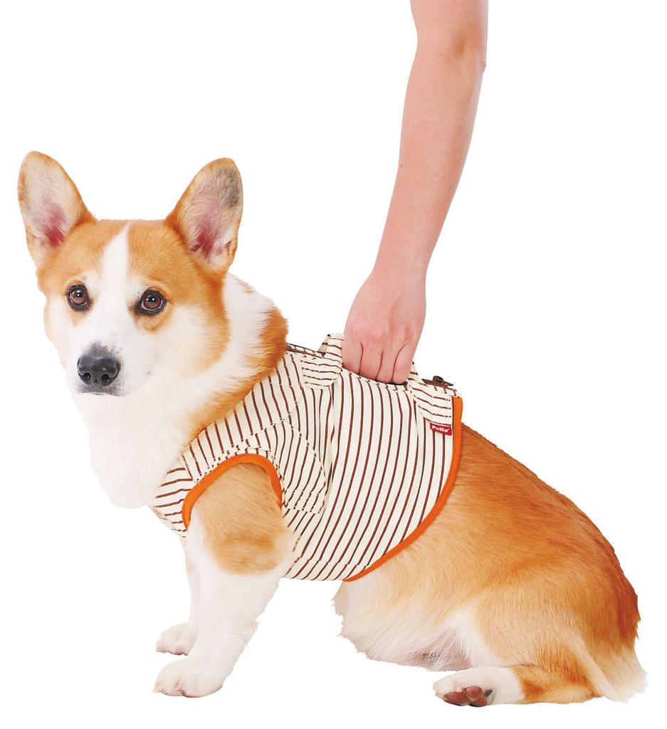 Petio Senior Dog Care Vest with Support for Size L Functions, Medium-Sized Dogs,