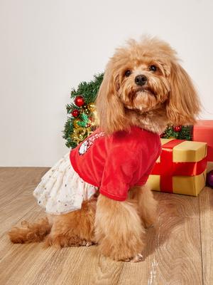 Vêtements et chaussures – Robes pour chien