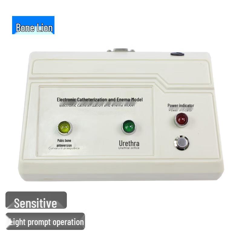 Human Catheterization & Enema Training Model