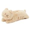 Sött mjukisdjurs-pennskrin med en fluffig katt En perfekt present till katt Perfekt för Katt En perfekt present till barn från grundskola till högstadium