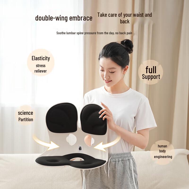 BKT Ergonomic Lumbar Support Cushion