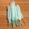 100Pcs Blue Goose Feathers 10-15cm Natural Dyed Feather for Wedding Decoration Party DIY Crafts Halloween Costume Supplies